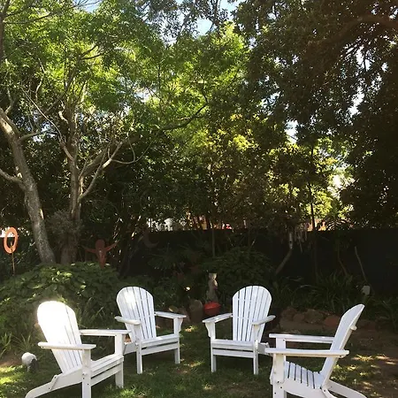 Olive Tree Garden Apartment 1 Cape Town Exterior photo