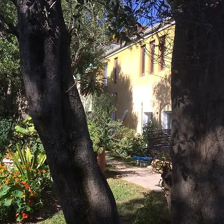 Olive Tree Garden Apartment 1 Cape Town Exterior photo