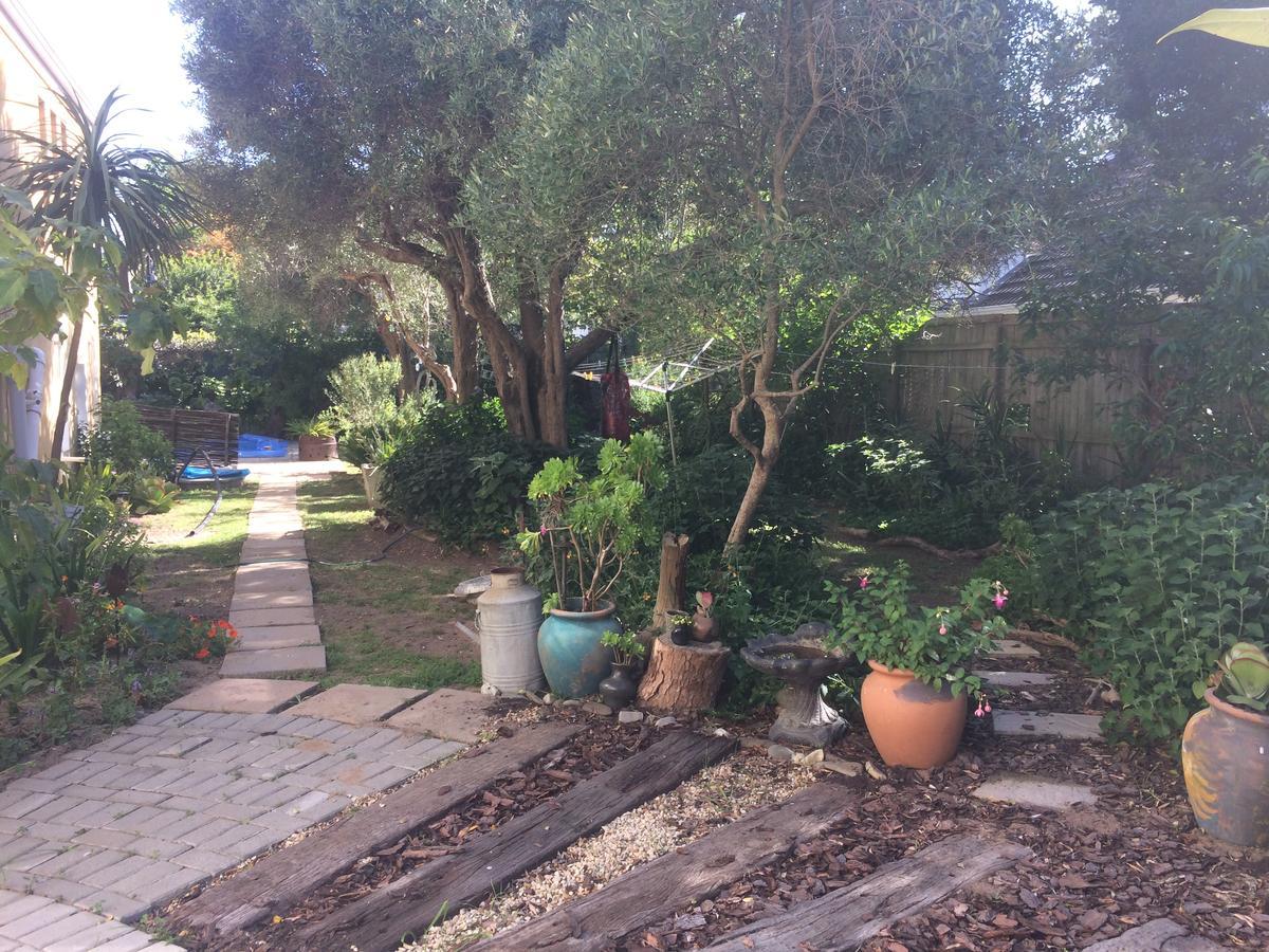Olive Tree Garden 1 * Cape Town