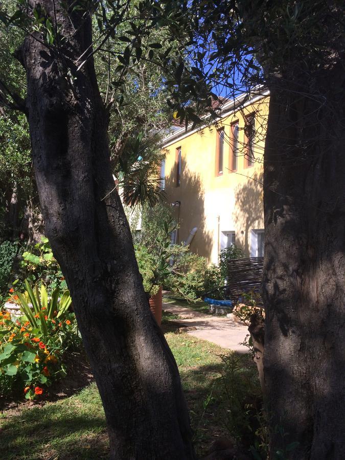 Olive Tree Garden 1 Apartment
