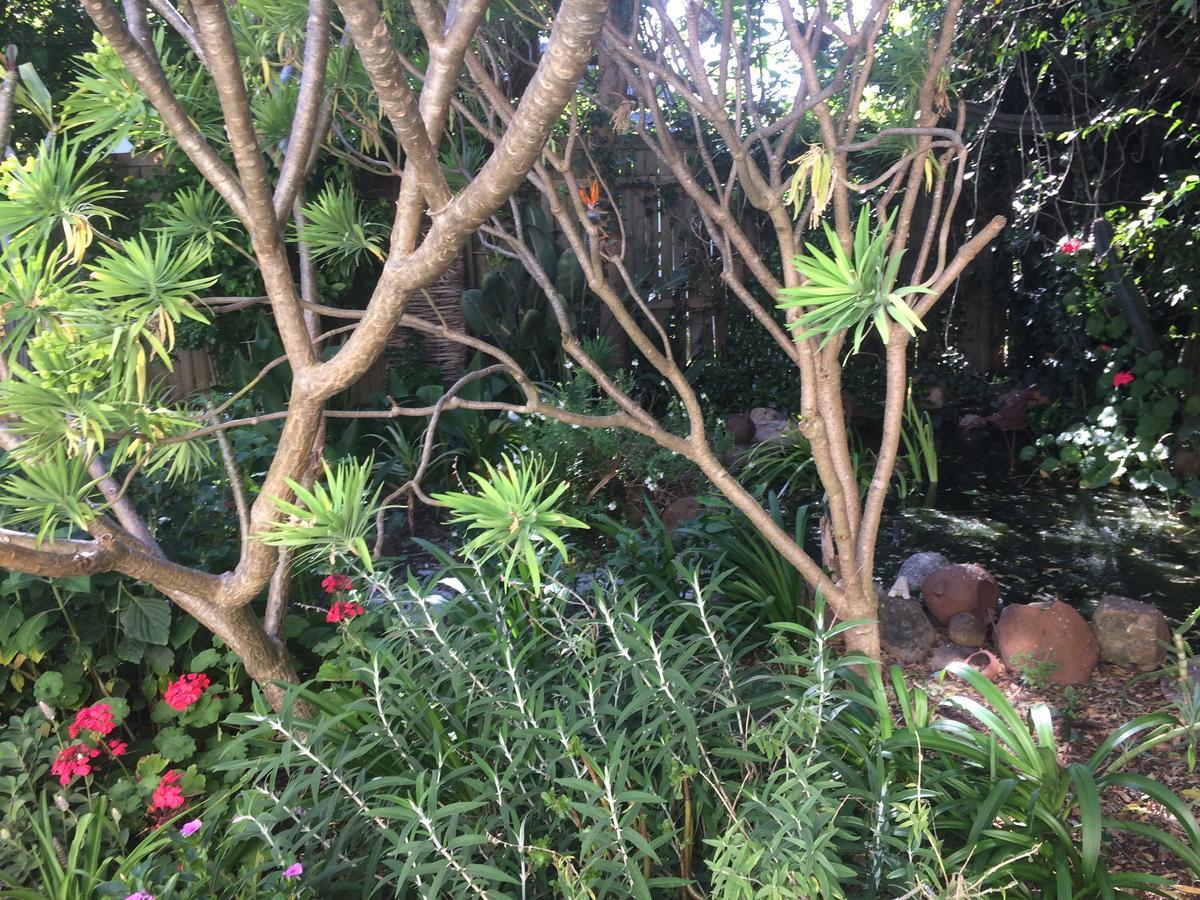 Olive Tree Garden 1 Apartment