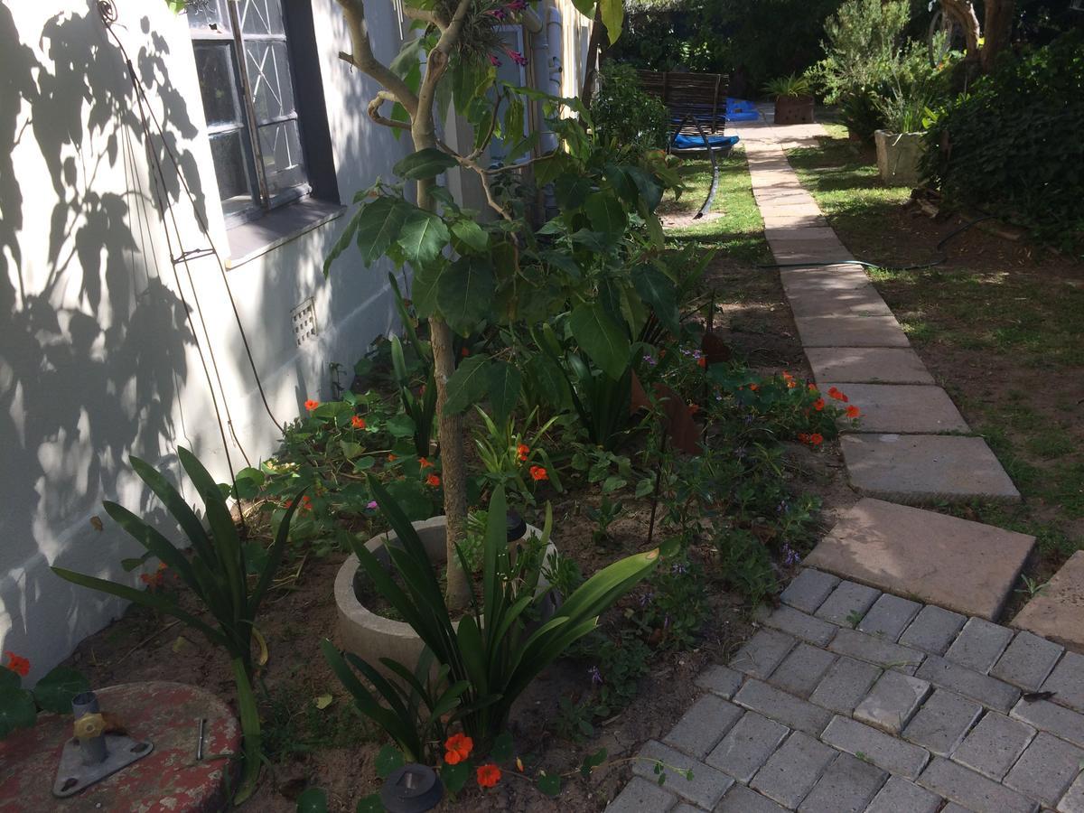 Apartment Olive Tree Garden 1 Cape Town